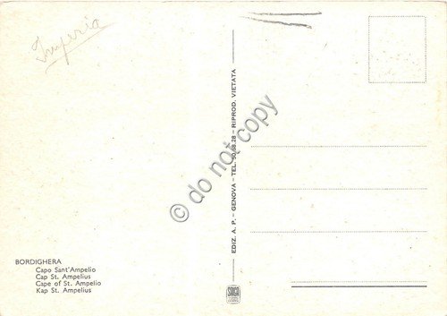 Cartolina Bordighera Illustrata Raimondi Capo S. Ampelio
