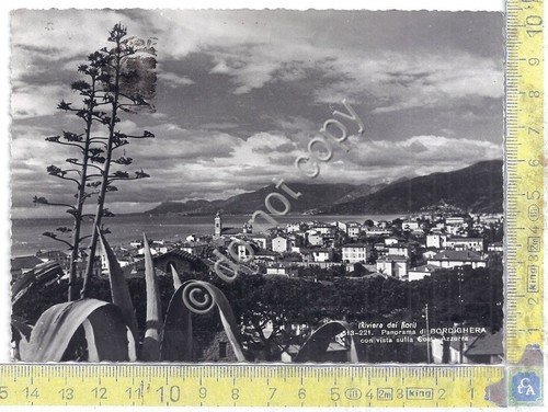 Cartolina Bordighera Panorama sulla Costa Azzurra 1958 (Imperia)