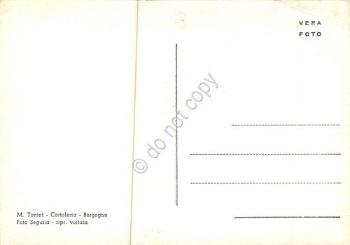 Cartolina Borgone di Susa panorama generale