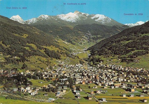 Cartolina Bormio Panorama 1983 (Sondrio)