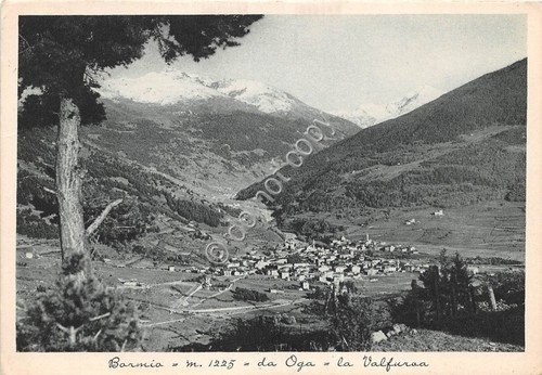 Cartolina Bormio panorama da Oga anni '40 (Sondrio)