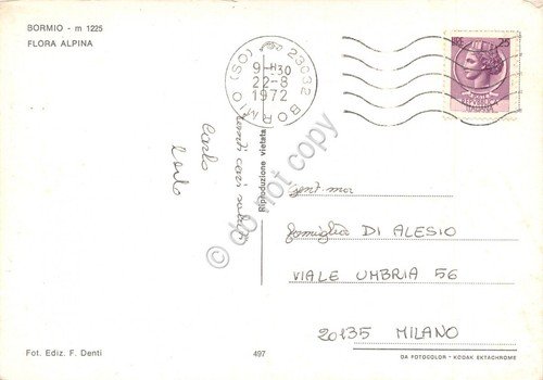 Cartolina Bormio vedute fiori 1972 (Sondrio)