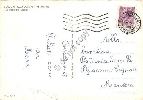 Cartolina Bosco Chiesanuova panorama parziale 1968