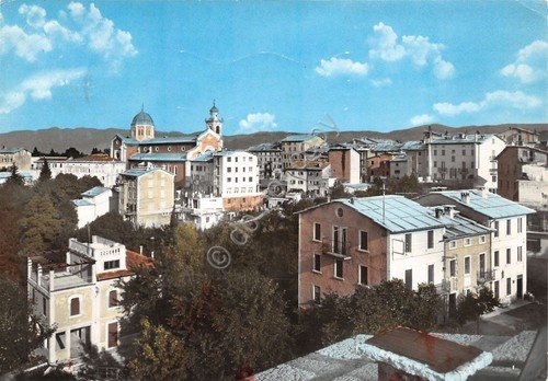 Cartolina Boscochiesanuova Panorama 1966