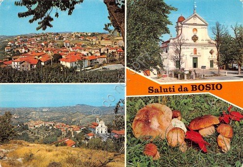 Cartolina Bosio vedute 1976 (Alessandria)