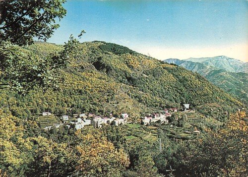 Cartolina Brizzolara panorama 1979
