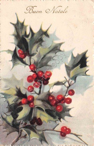 Cartolina Buon Anno agrifoglio illustrata 1932 | Immagine principale