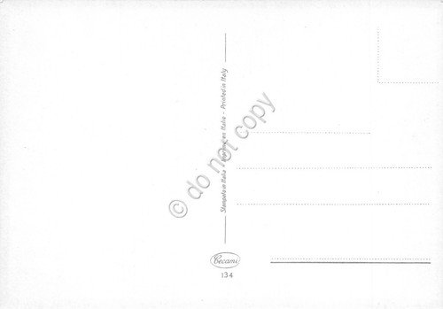 Cartolina Buon Anno lotto di 6 cartoline illustrate bordo paesaggi …