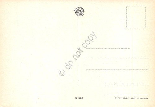 Cartolina Buon Compleanno vaso di fiori con rose bianche | Immagine Gallery 2