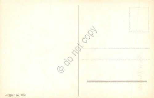 Cartolina Buon Natale illustrata Vischio nr 7781 (Augurali) | Immagine Gallery 2