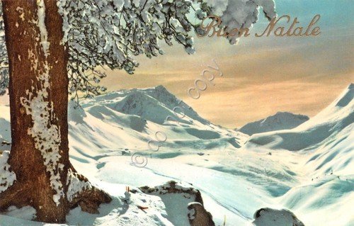 Cartolina Buon Natale lotto di 5 cartoline montagna neve alberi …