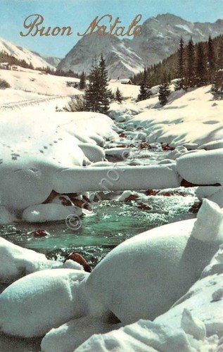 Cartolina Buon Natale lotto di 5 cartoline montagna neve alberi …