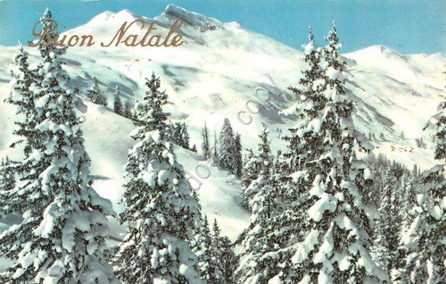 Cartolina Buon Natale lotto di 5 cartoline montagna neve alberi … | Immagine Gallery 3
