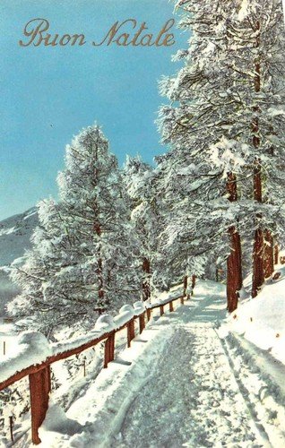 Cartolina Buon Natale lotto di 5 cartoline montagna neve alberi … | Immagine Gallery 5