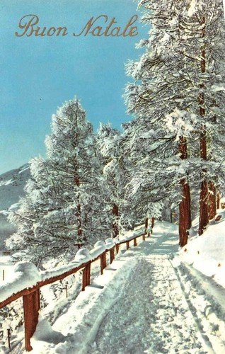 Cartolina Buon Natale lotto di 5 cartoline montagna neve alberi …