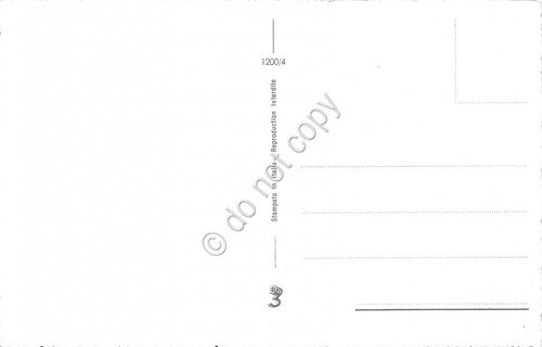 Cartolina Buon Natale scoiattoli agrifoglio neve doni bordo oro | Immagine Gallery 2