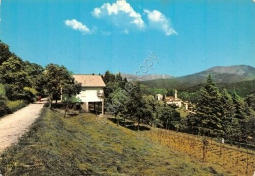 Cartolina Cabiaglio panorama parziale 1971