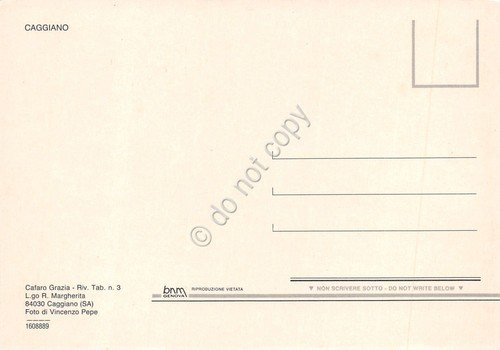 Cartolina Caggiano Panorama paese case coltivazioni anni '80