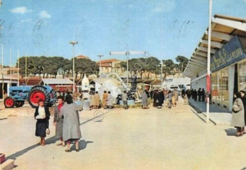 Cartolina Cagliari Fiera campionaria della Sardegna anni '50 | Immagine principale