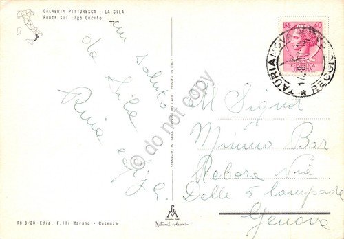 Cartolina Calabria La Sila Ponte sul Lago Cecito 1967 | Immagine Gallery 2