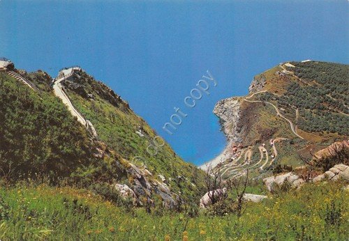 Cartolina Calabria Palmi Costa Viola Panorama da Monte S. Elia … | Immagine principale