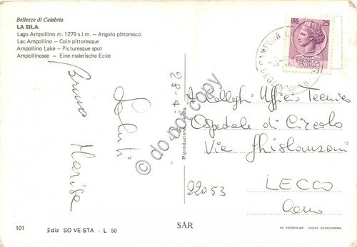 Cartolina Calabria Sila Lago Ampollino panorama con mucca 1973 (Cosenza) | Immagine Gallery 2