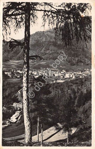 Cartolina Calalzo Cadore panorama 1947