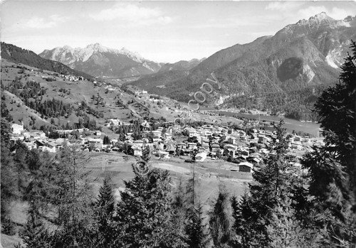 Cartolina Calalzo di Cadore Panorama