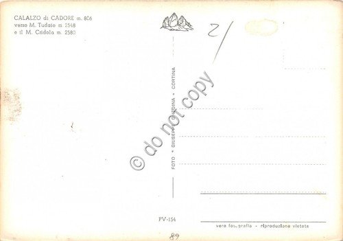 Cartolina Calalzo di Cadore Panorama