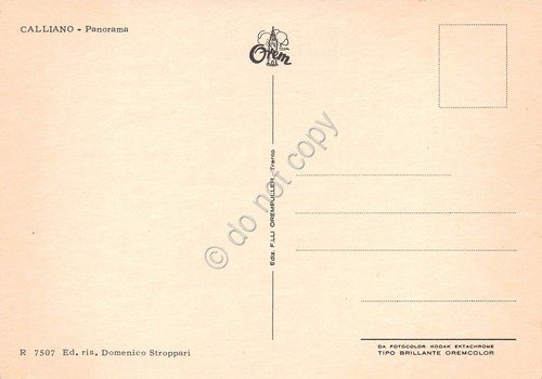 Cartolina Calliano Panorama | Immagine Gallery 2