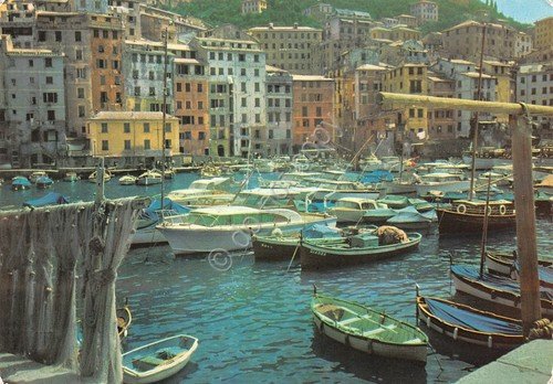 Cartolina Camogli porticciolo Timbro PT 1970 (Genova) | Immagine principale