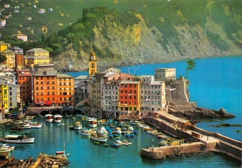 Cartolina Camogli Porto (Genova)