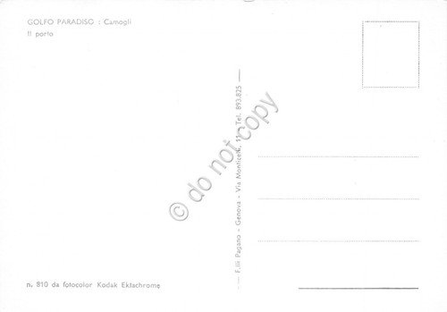 Cartolina Camogli Porto (Genova)