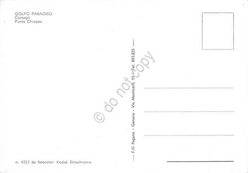 Cartolina Camogli Punta Chiappa dal mare barca | Immagine Gallery 2