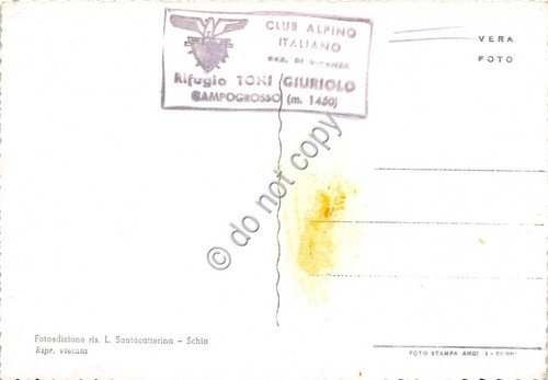 Cartolina Campogrosso Panorama Stella alpina (Bolzano) | Immagine Gallery 2