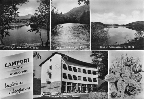 Cartolina Campori Chiavari vedute 1960 | Immagine principale