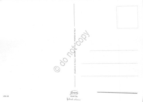 Cartolina Canazei Rifugio Monti Pallidi con stella alpina in velluto