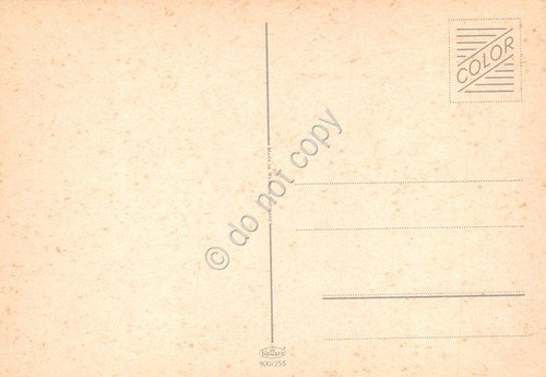 Cartolina cane bassotto tedesco a pelo duro | Immagine Gallery 2