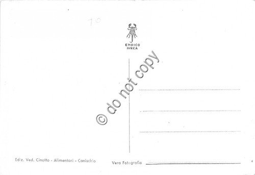 Cartolina Canischio panorama