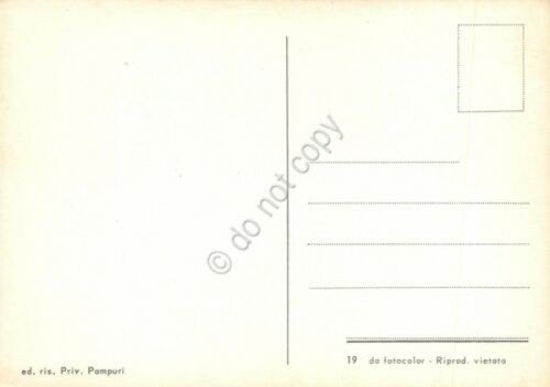 Cartolina Canneto sull' Oglio vedute paese | Immagine Gallery 2