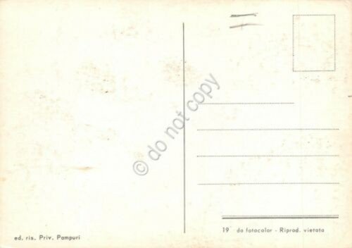 Cartolina Canneto sull' Oglio vedute varie paese | Immagine principale