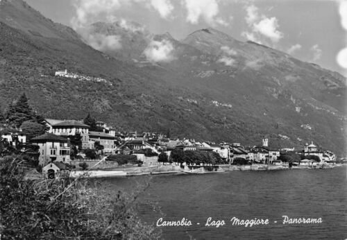 Cartolina Cannobio Lago Maggiore Panorama 1954 (Verbania)