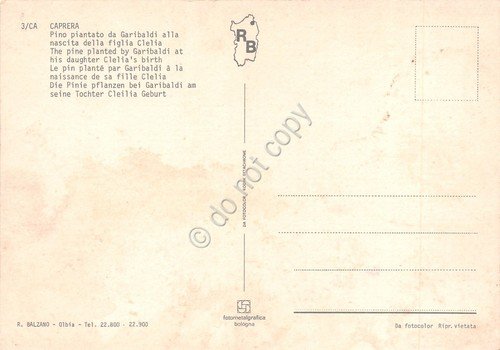 Cartolina Caprera pino piantato da Garibaldi alla nascita della figlia … | Immagine Gallery 2