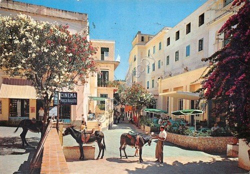 Cartolina Capri Albergo Quisisana Cinema Parco Auguso asini 1957 | Immagine principale