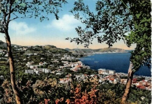 Cartolina Casamicciola Ischia Panorama (Napoli)