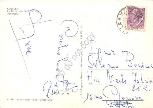 Cartolina Casella vedute panorama strada cittadina animata 1965 grinze