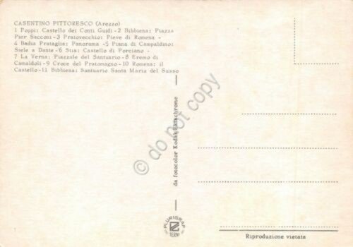 Cartolina Casentino Pittoresco Poppi Bibbiena Pratovecchio Campaldino Romena | Immagine Gallery 2