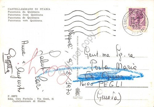 Cartolina Castellamare di Stabia Panorama da Quisisana 1970 (Napoli) | Immagine Gallery 2