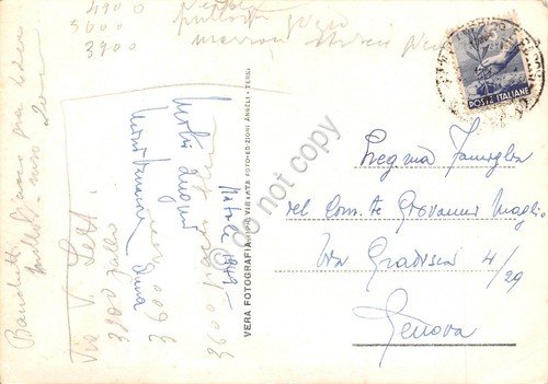 Cartolina Castellamare di Stabia Vesuvio da Quisisana 1949 | Immagine Gallery 2