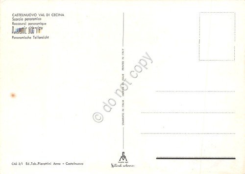 Cartolina Castelnovo Val di Cecina panorama paese case paese anni … | Immagine Gallery 2